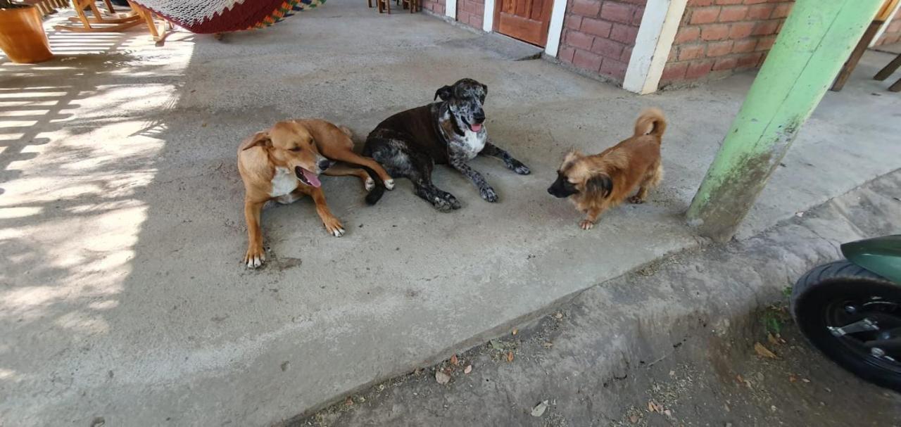 B&B, Family Run Homestay, Hospedaje La Penita Altagracia Zewnętrze zdjęcie