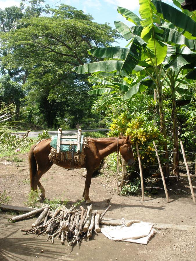 B&B, Family Run Homestay, Hospedaje La Penita Altagracia Zewnętrze zdjęcie